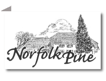 Norfolk Pine Logo folded
